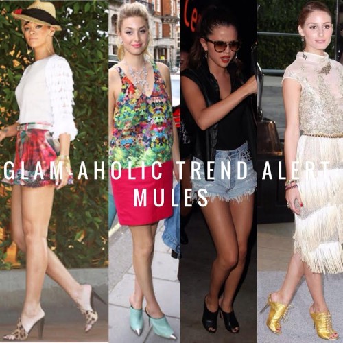 Glam-Aholic Trend Alert: Mules